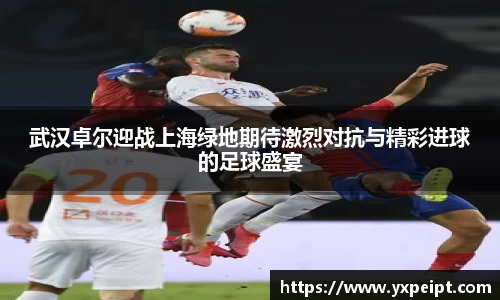 武汉卓尔迎战上海绿地期待激烈对抗与精彩进球的足球盛宴